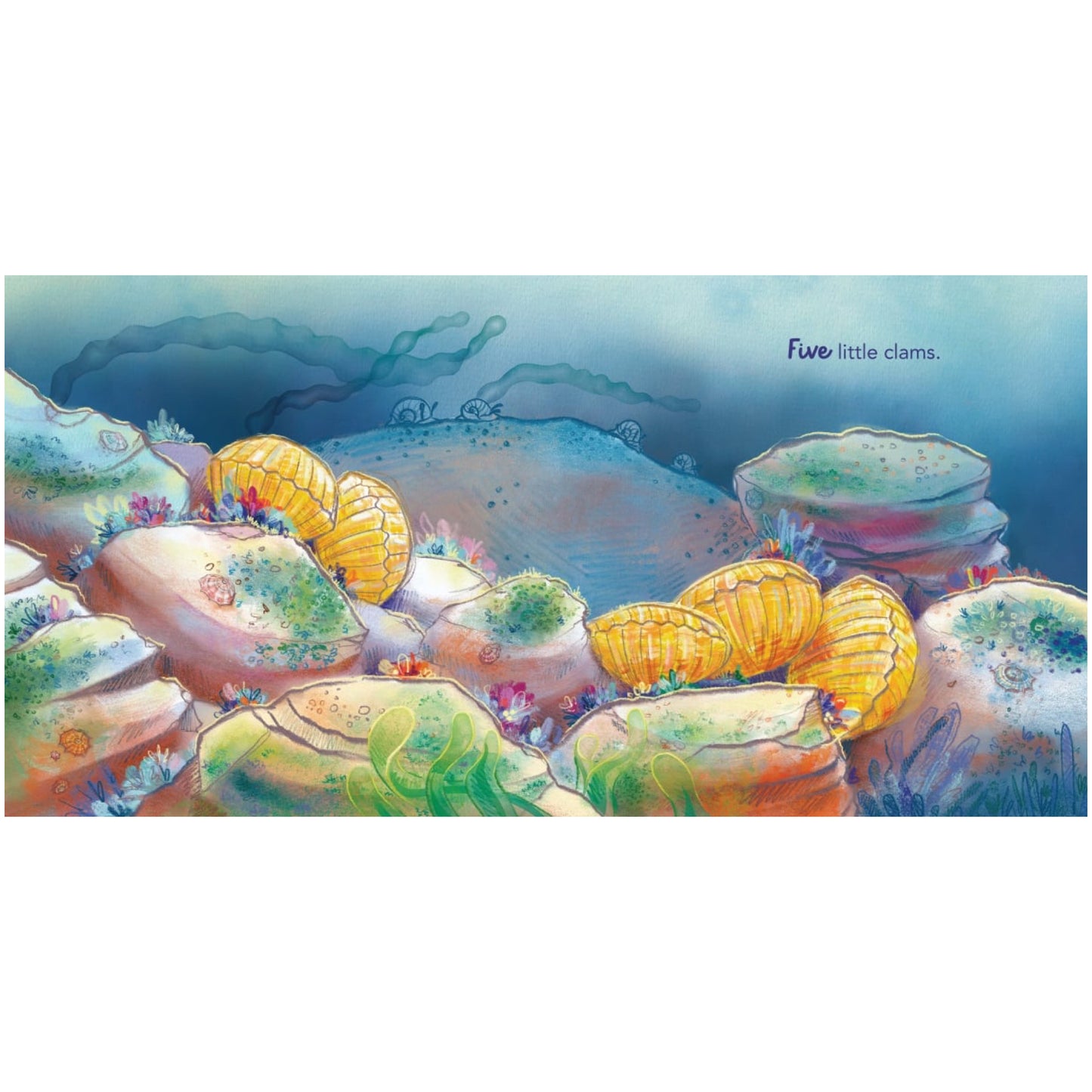 BOOKS & CO - IN THE ROCKPOOL - Andrea Rowe