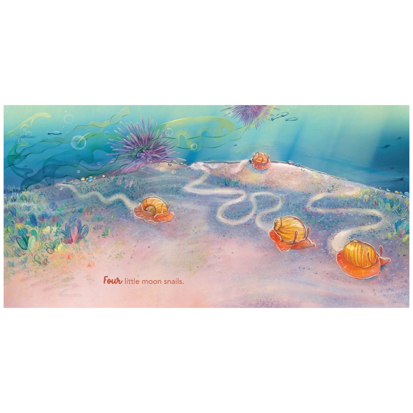 BOOKS & CO - IN THE ROCKPOOL - Andrea Rowe