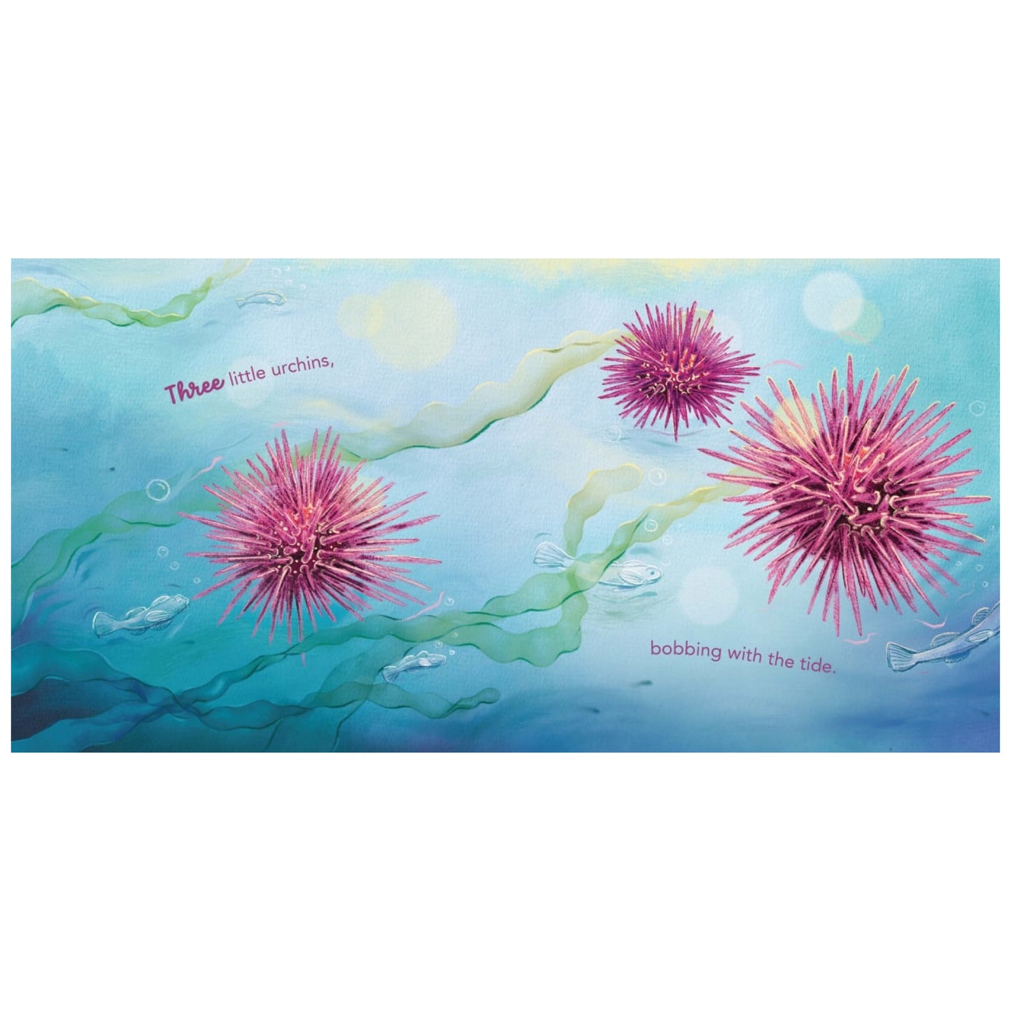 BOOKS & CO - IN THE ROCKPOOL - Andrea Rowe
