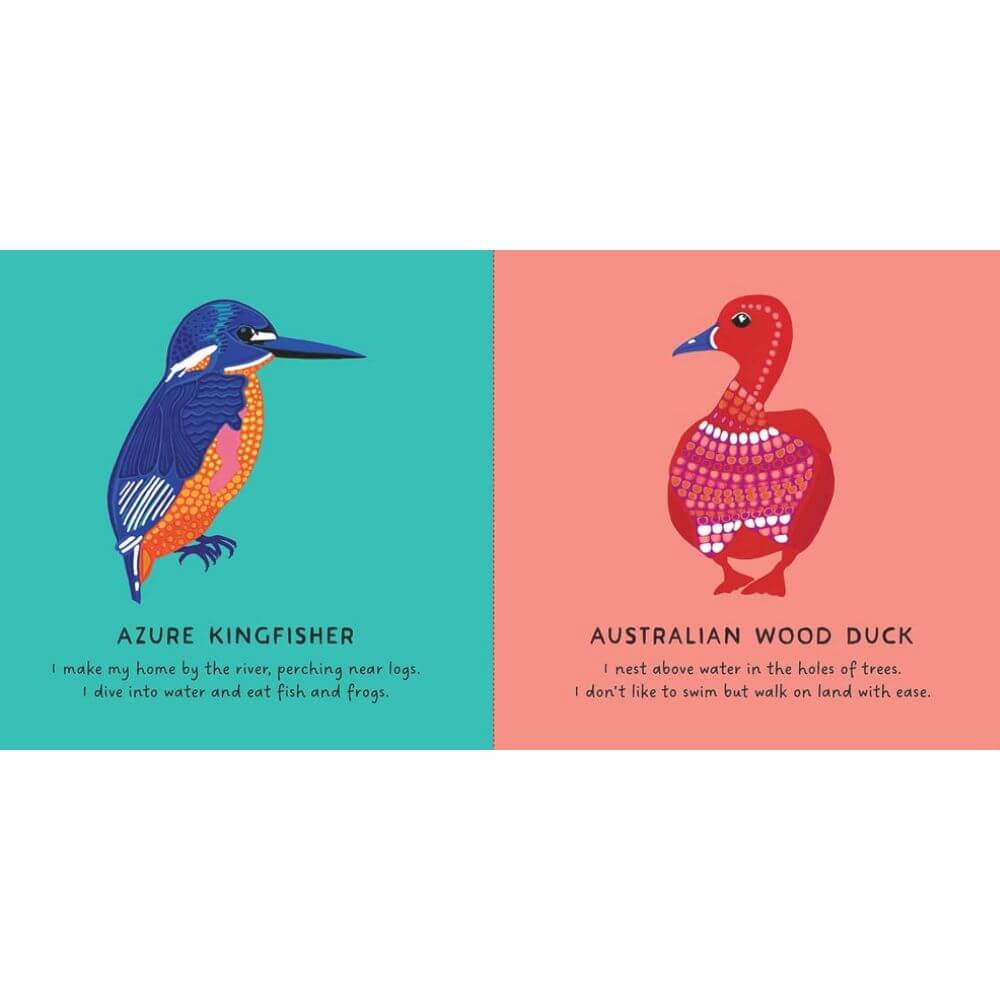 BOOKS & CO - Our Birds by Bronwyn Bancroft