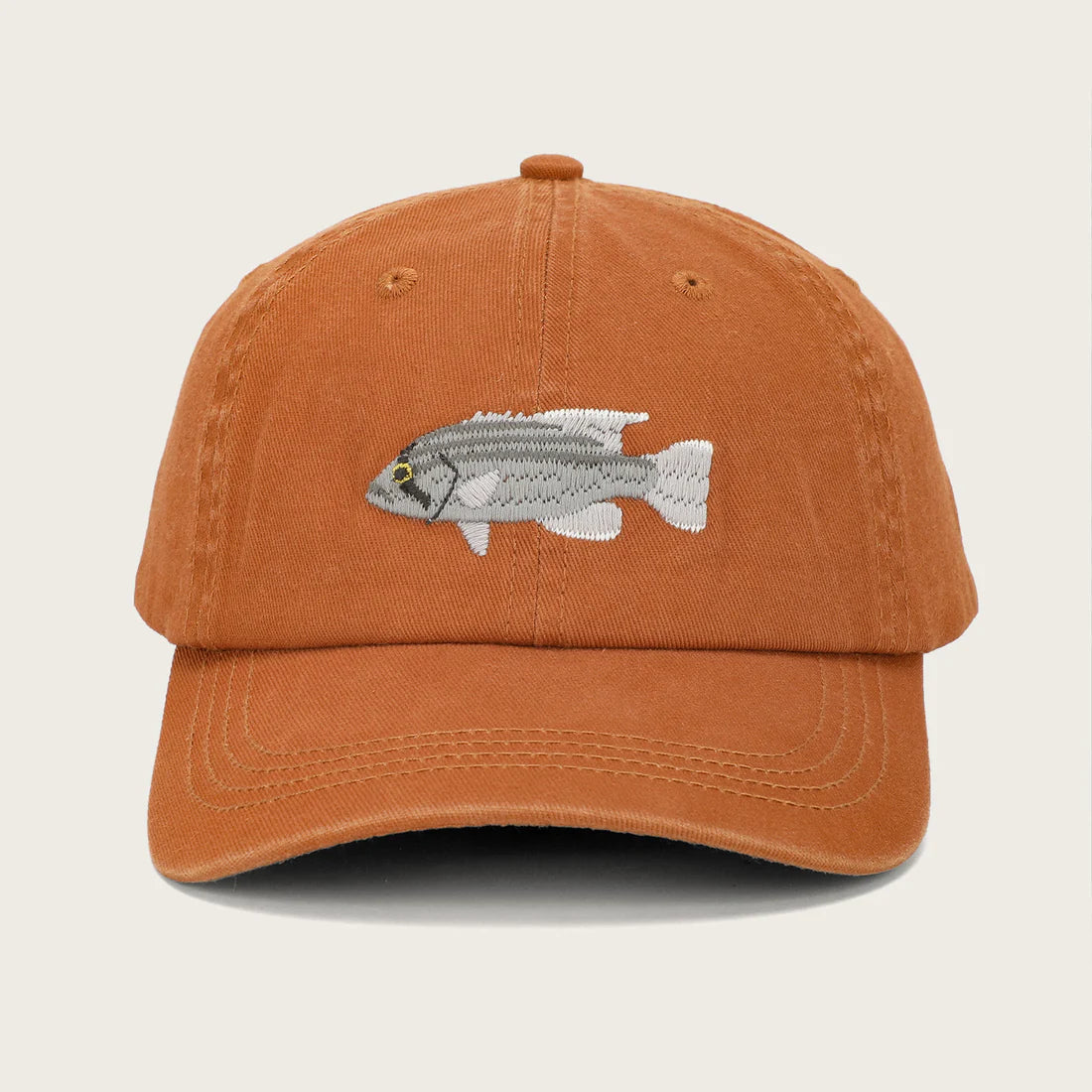 PALLION POINT - FISH LIDS - Dhufish in Ochre
