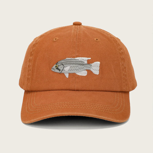 PALLION POINT - FISH LIDS - Dhufish in Ochre