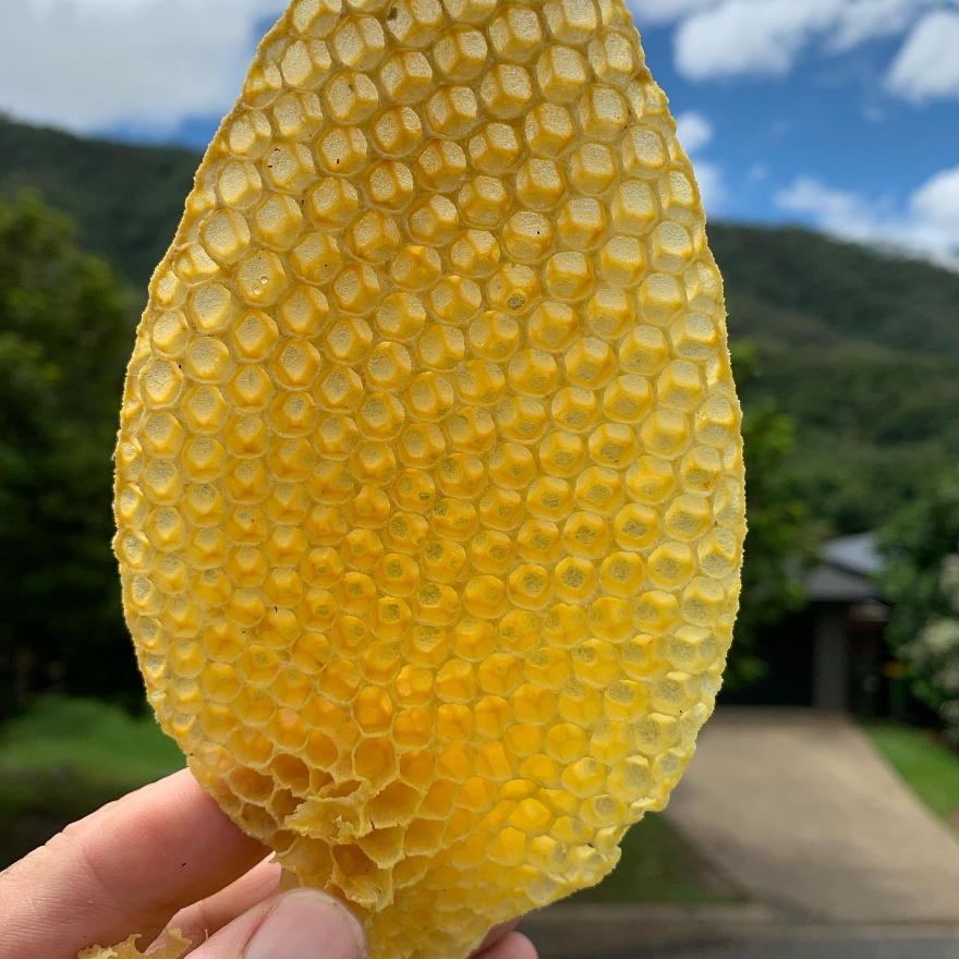 KISS OF A BEE VANILLA LIP BALM
