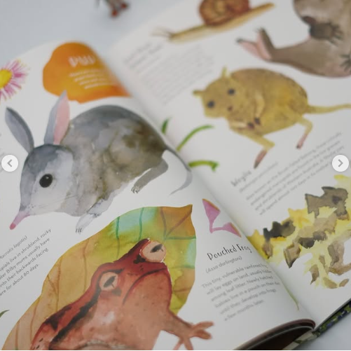 BOOKS & CO - Australia’s Baby Animals By Jess Racklyeft