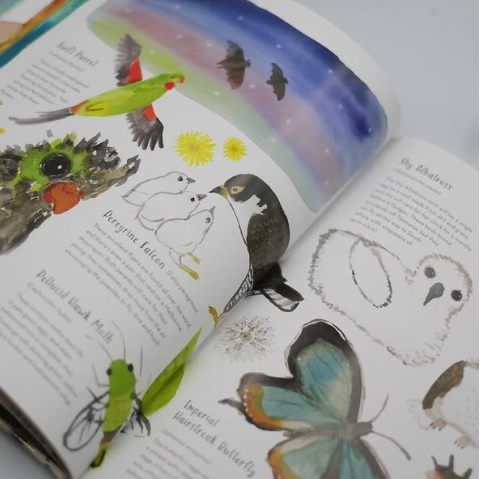 BOOKS & CO - Australia’s Baby Animals By Jess Racklyeft