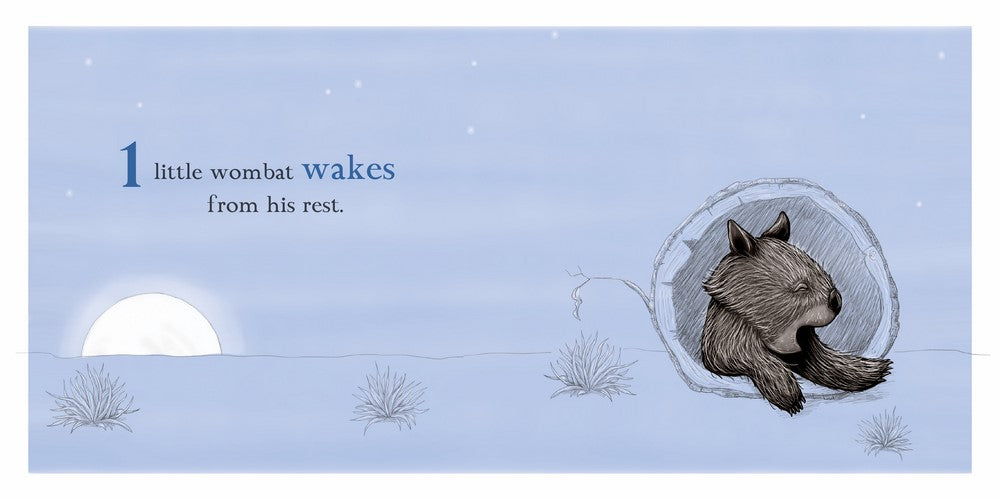 BOOKS & CO - RENEE TREML - Ten Little Owls - Small Board Book