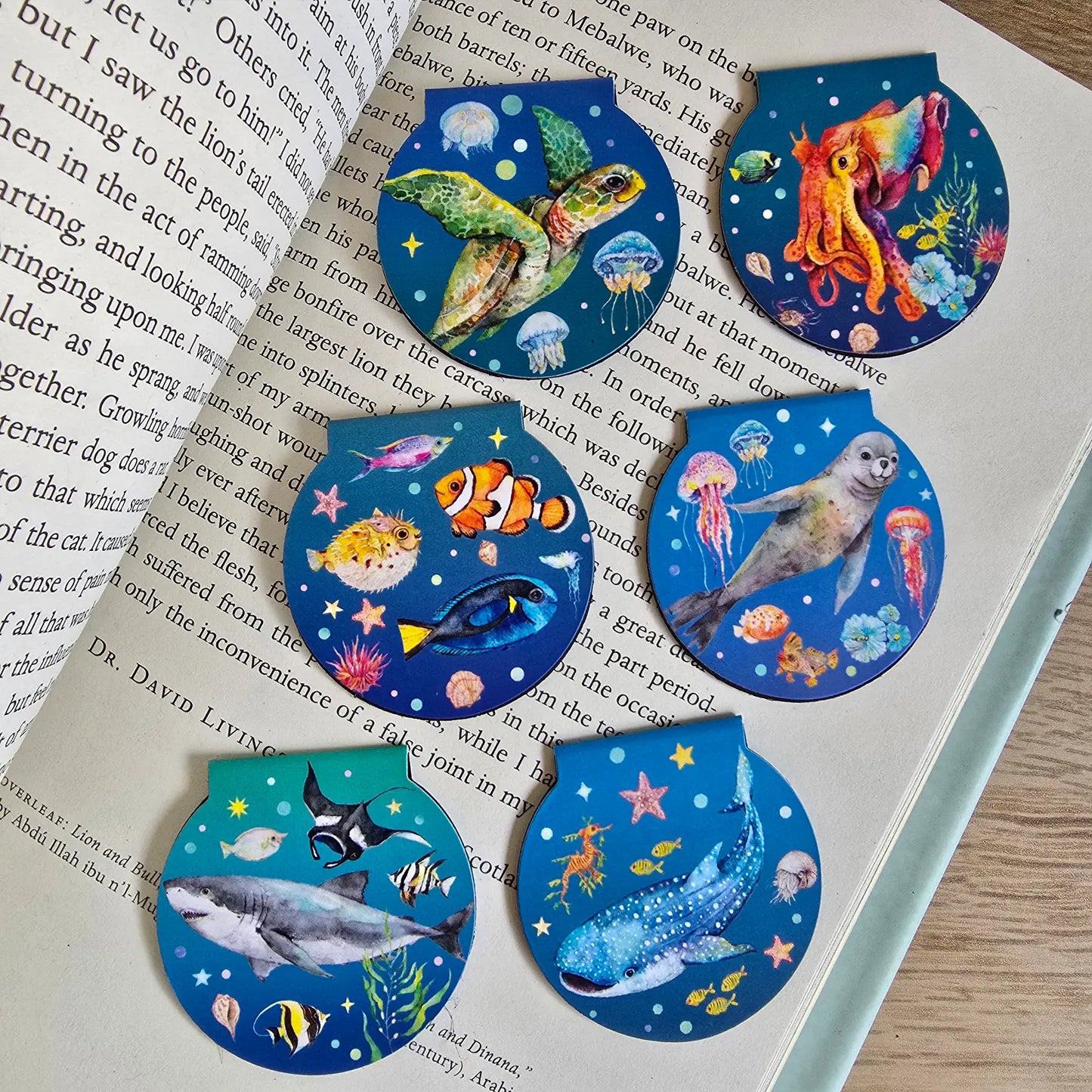 WATERCOLOURS BY CAT- Reef Fish Shark- Australian Marine Animal Magnetic Bookmark