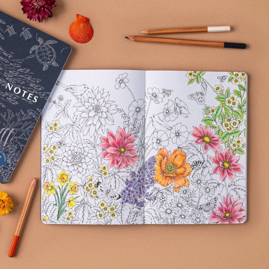 YOUR WILD BOOKS- Nature Notes 2- Journal