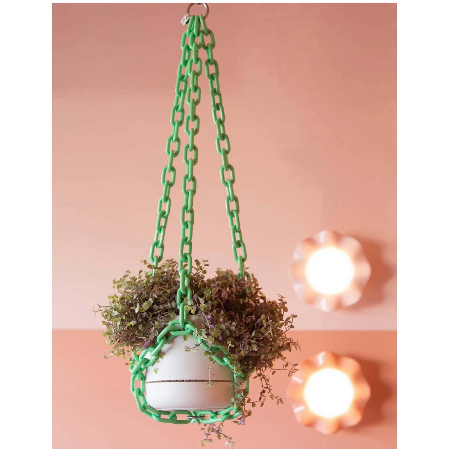 WOLJAM - Mint Plant Chain