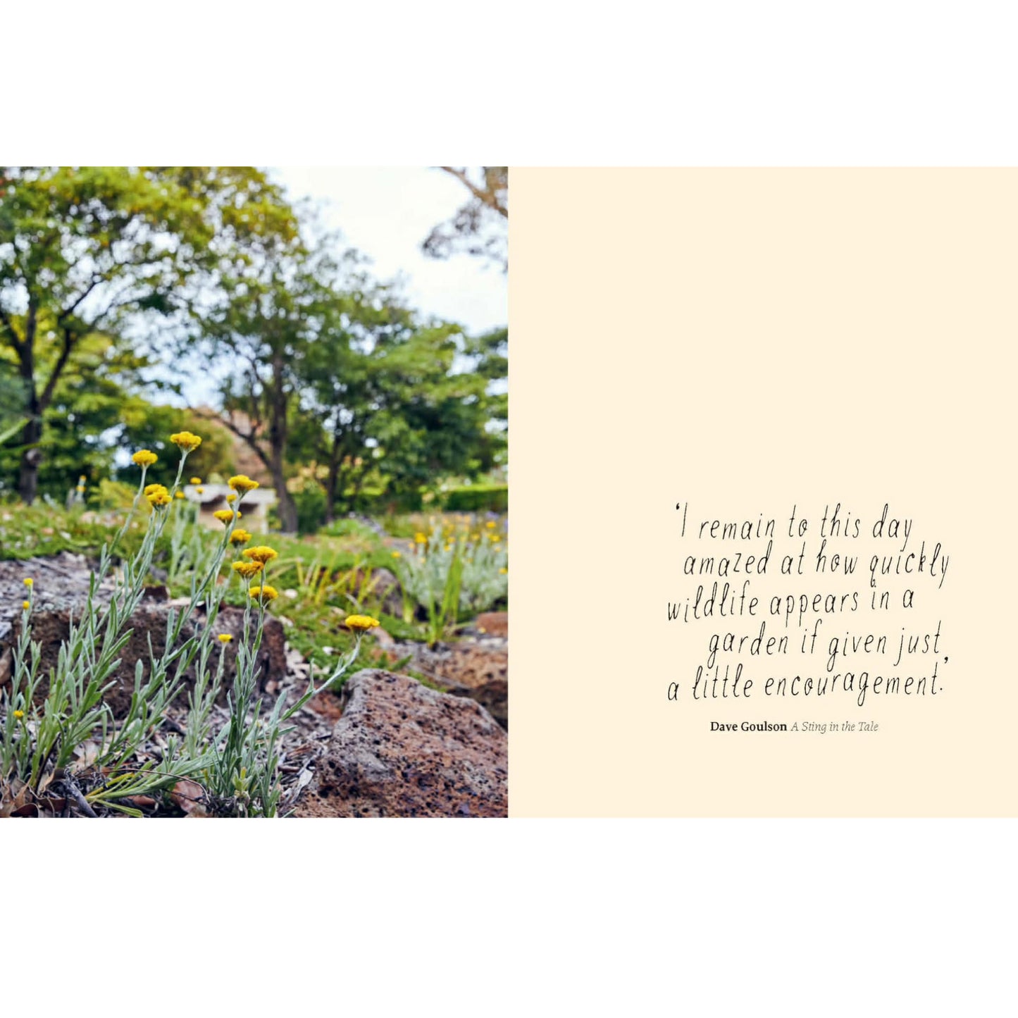 BOOKS & CO - Planting for Native Birds, Bees and Butterflies - Jaclyn Crupi