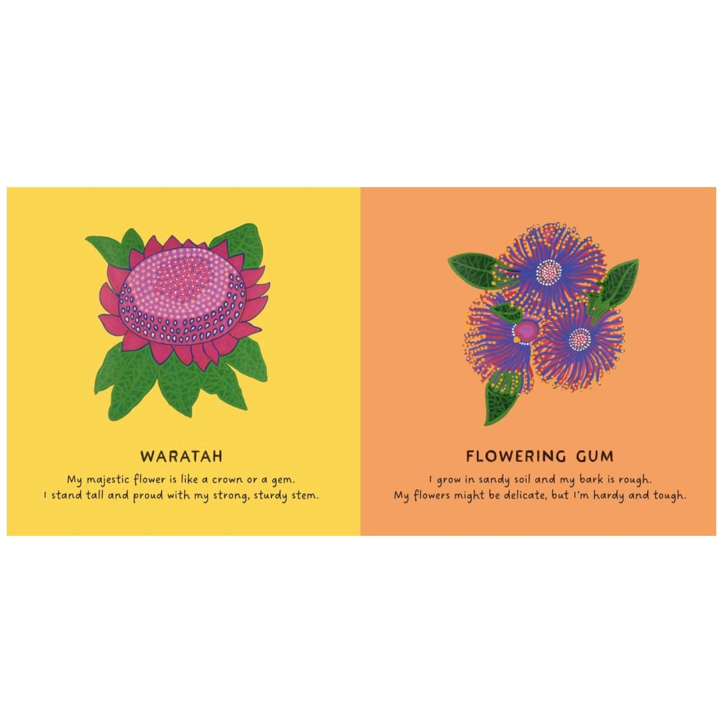 BOOKS & CO - OUR FLOWERS by Bronwyn Bancroft Board Book