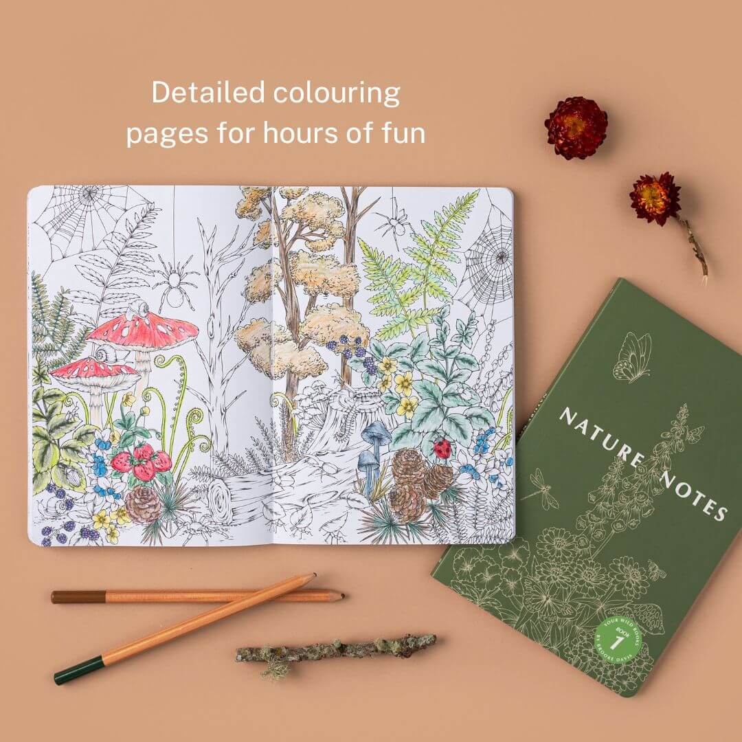 YOUR WILD BOOKS- Nature Notes 1 - Journal