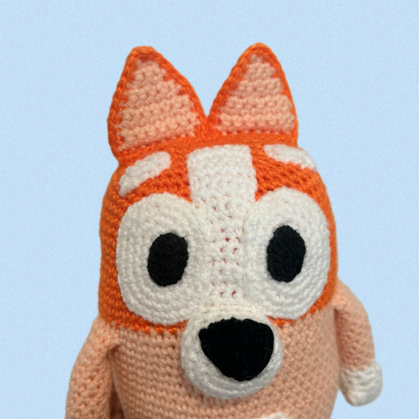 HOOKED BY JEN- ORANGE DOG