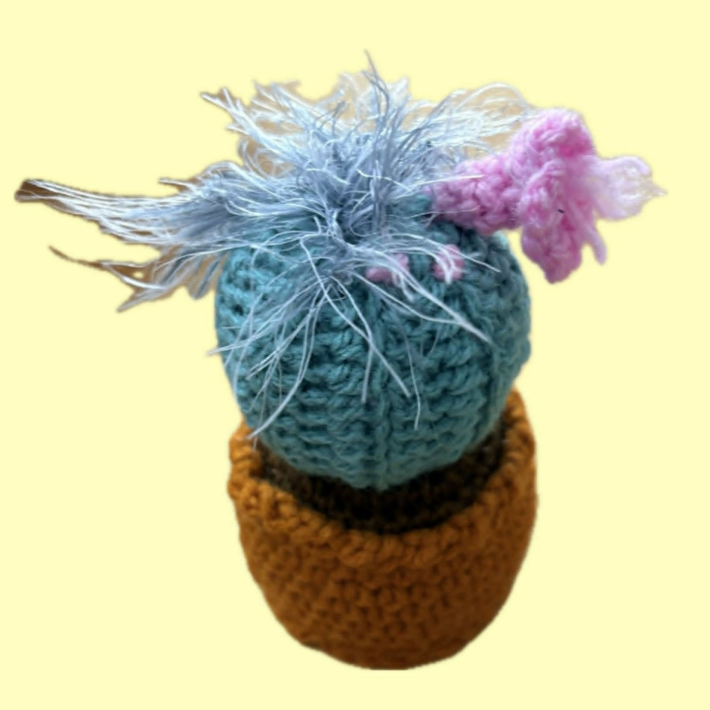 BEAKNITS- CROCHETED CACTUS #2