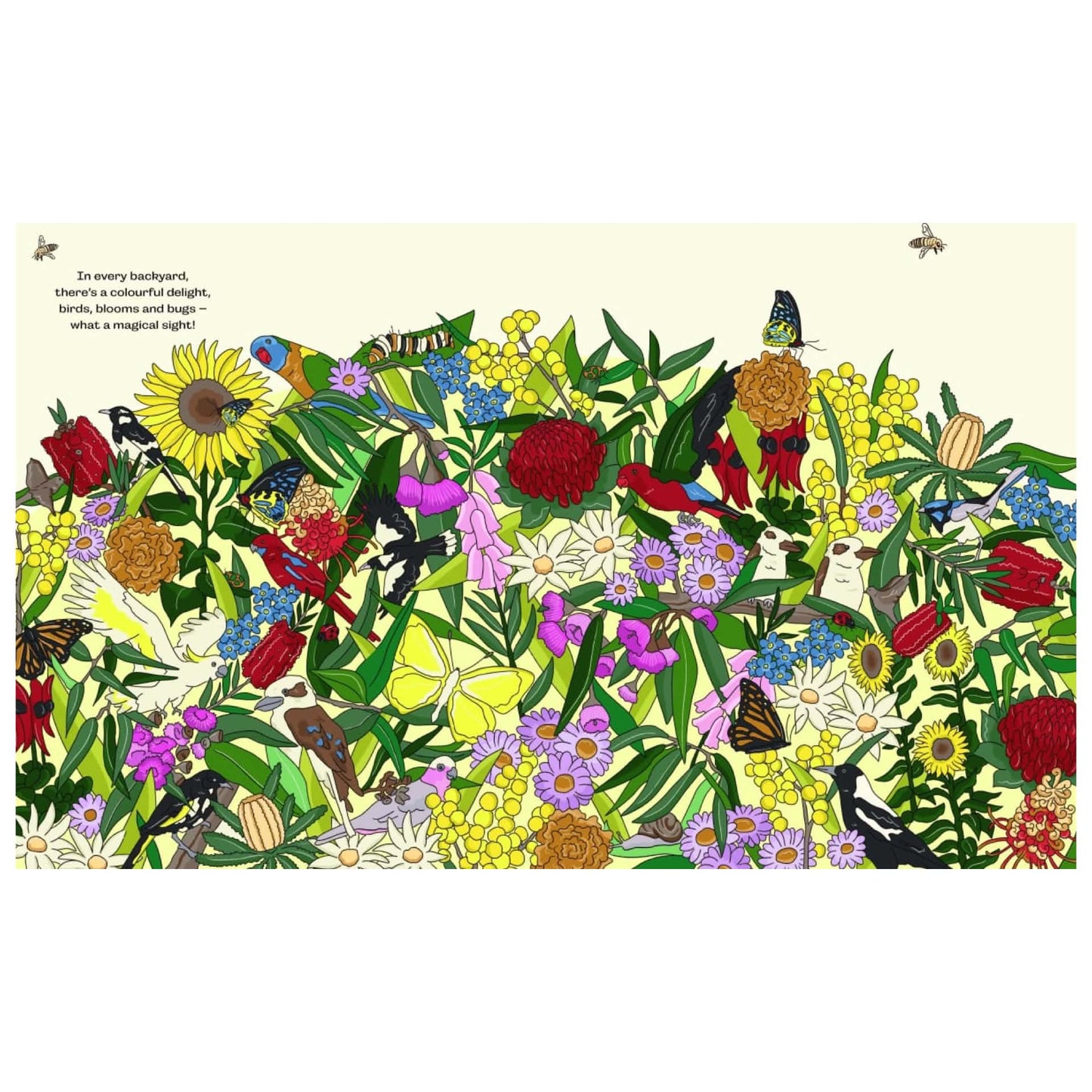 BOOKS & CO- BIRDS, BLOOMS & BUGS - By Megan McKean