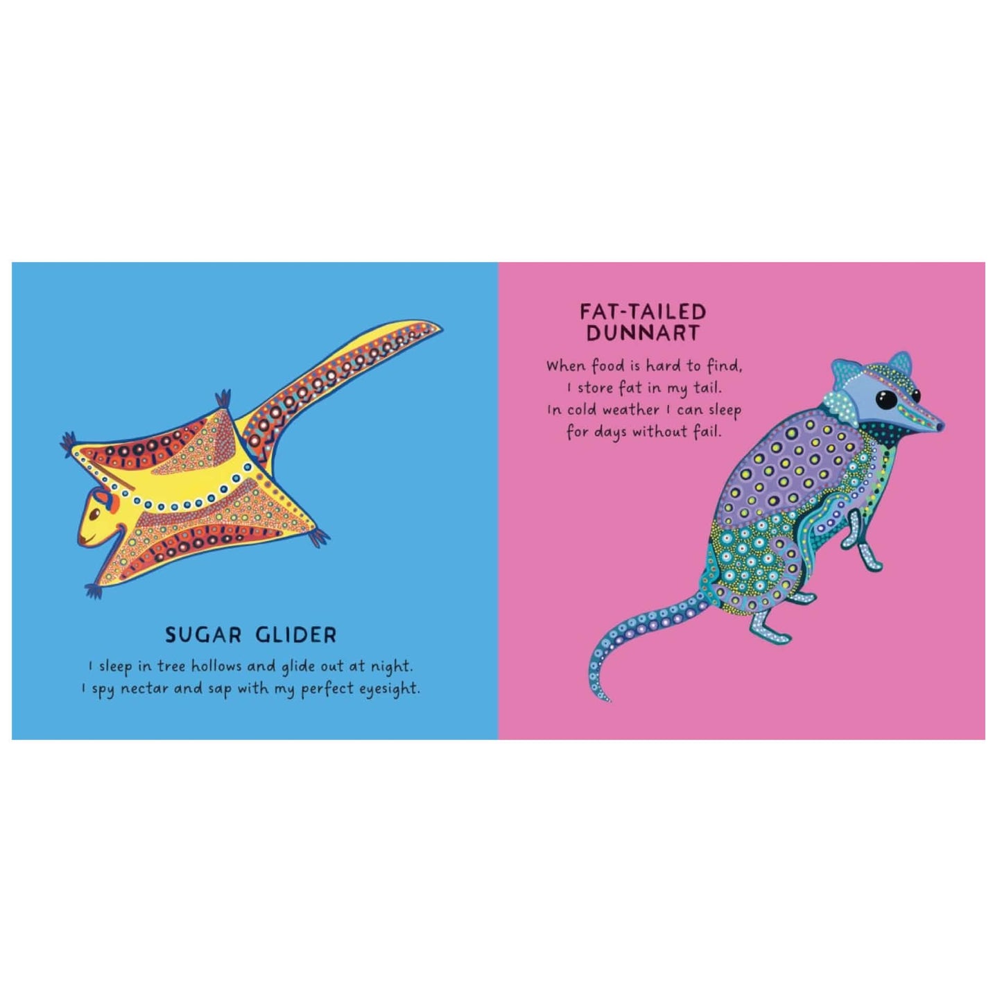 BOOKS & CO - OUR MARSUPIALS by Bronwyn Bancroft Board Book