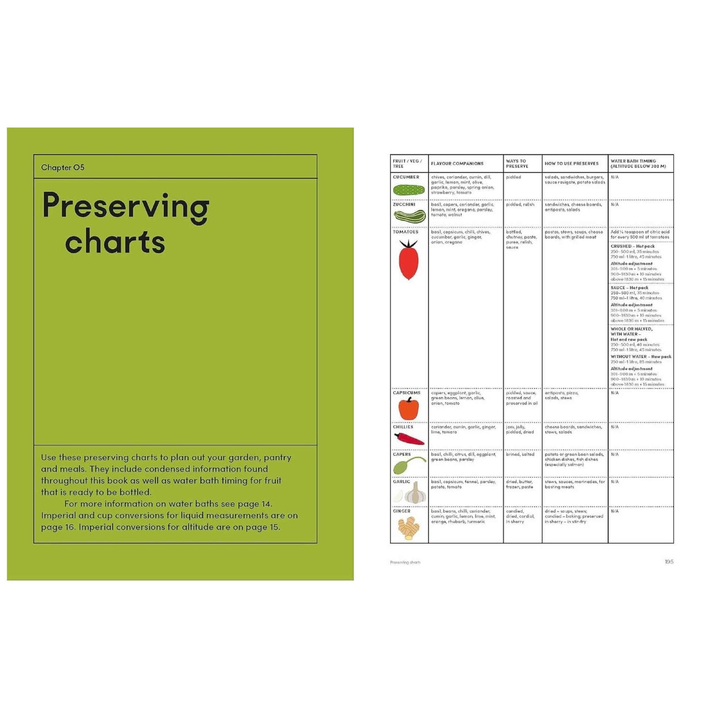 BOOKS & CO - THE PRESERVING GARDEN - Jo Turner