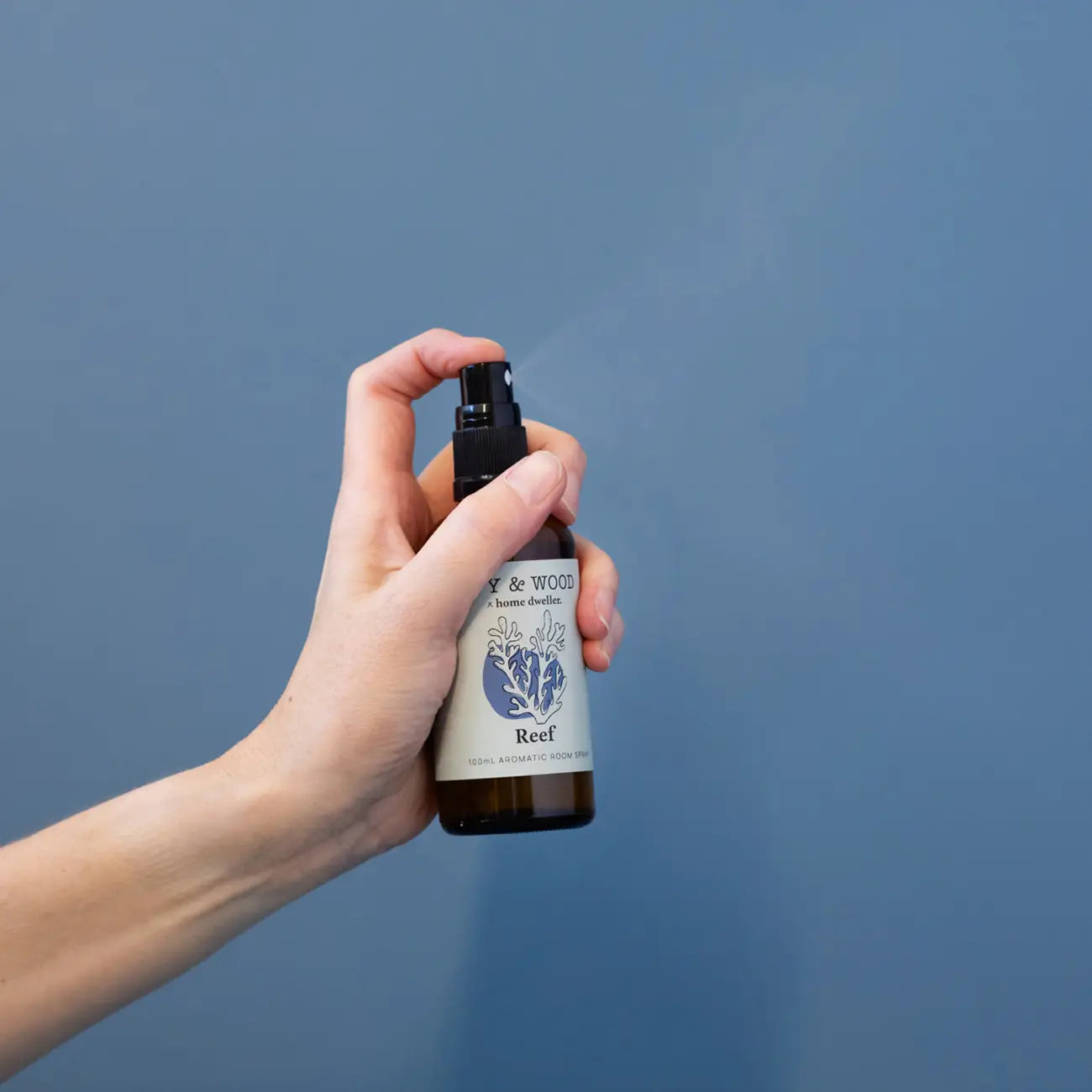 IVY & WOOD - Homebody Collection: Reef Room Spray