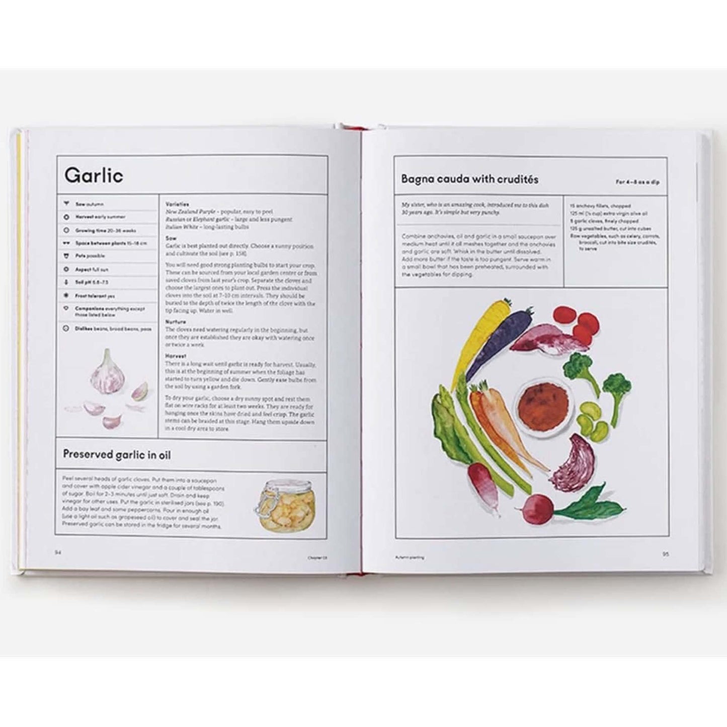 BOOKS & CO - THE KITCHEN GARDEN - Lucy Mora