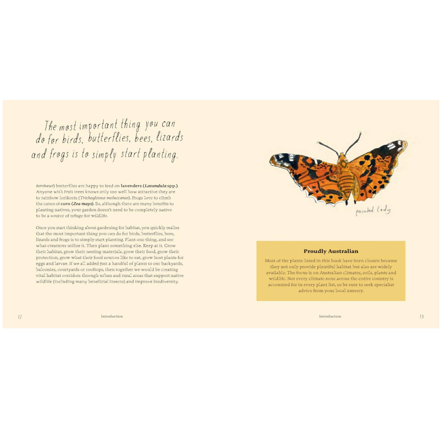 BOOKS & CO - Planting for Native Birds, Bees and Butterflies - Jaclyn Crupi