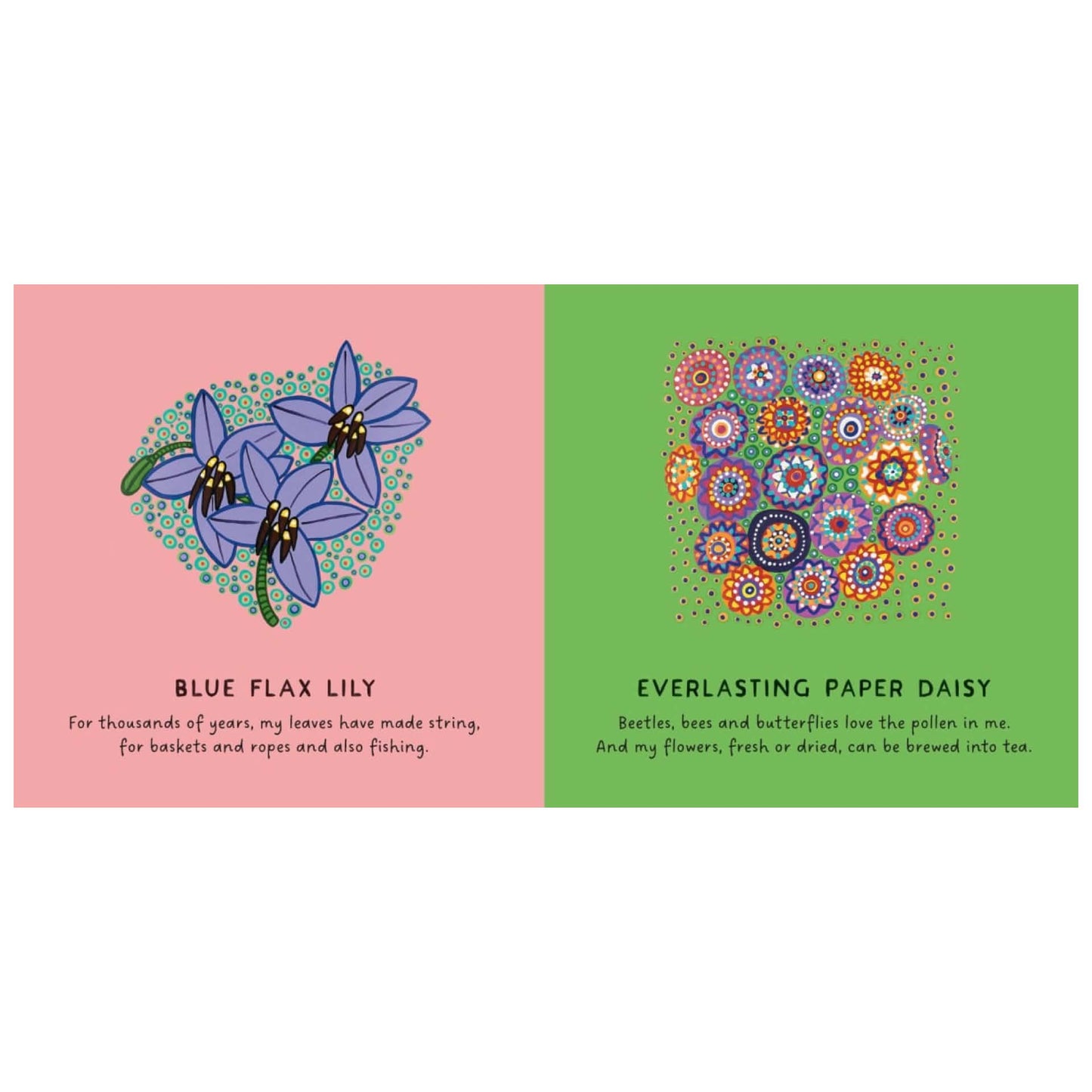 BOOKS & CO - OUR FLOWERS by Bronwyn Bancroft Board Book