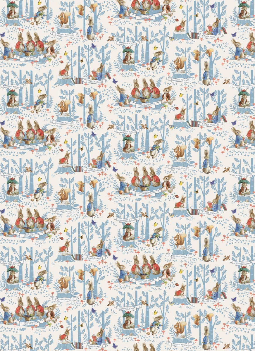 BOOKS & CO - ALL WRAPPED UP: PETER RABBIT - Beatrix Potter
