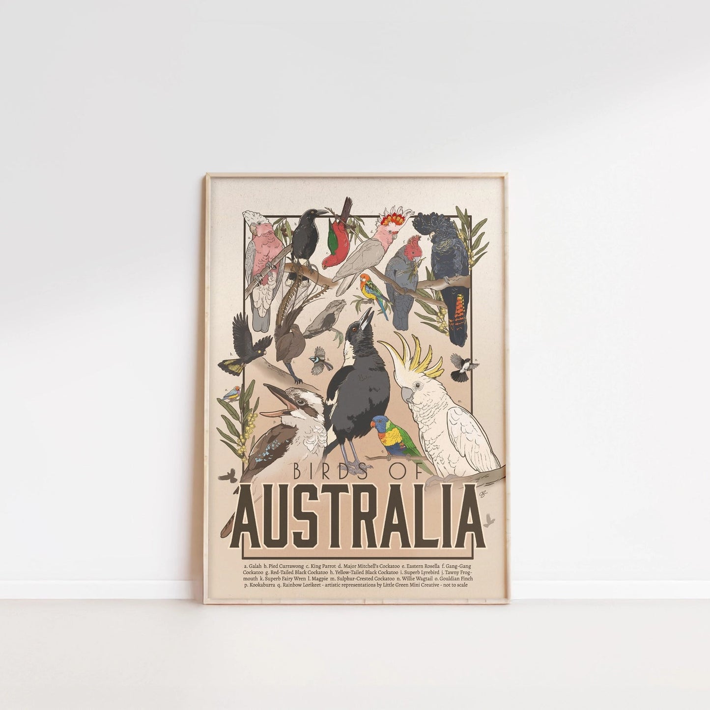 Green Mini Creative - A4 Poster/Print - "Birds of Australia"