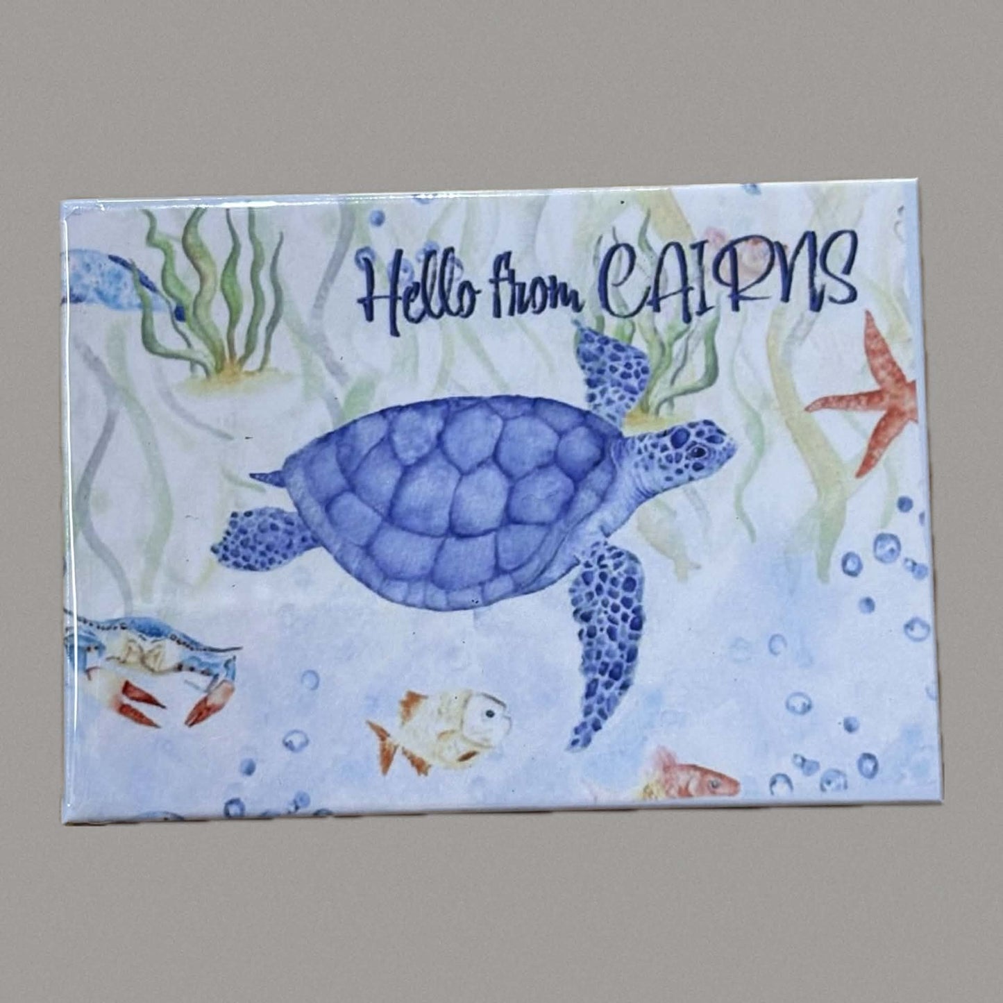 SHANNA TREES - Turtle "Hello from Cairns" Magnet