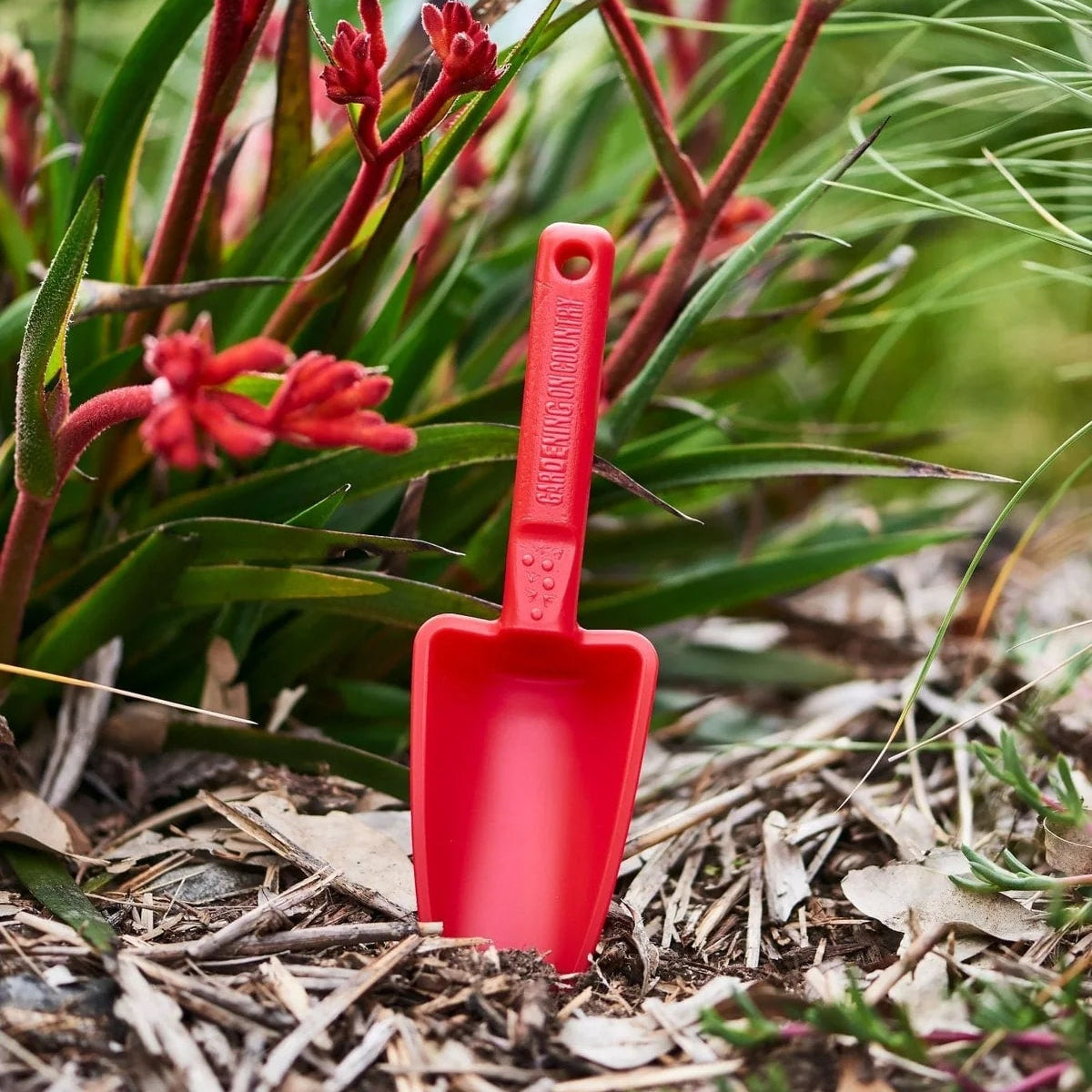 GARDENING ON COUNTRY - Joey Kids Trowel Kakadu Green – Recycled Plastic Kids Garden & Beach Trowel