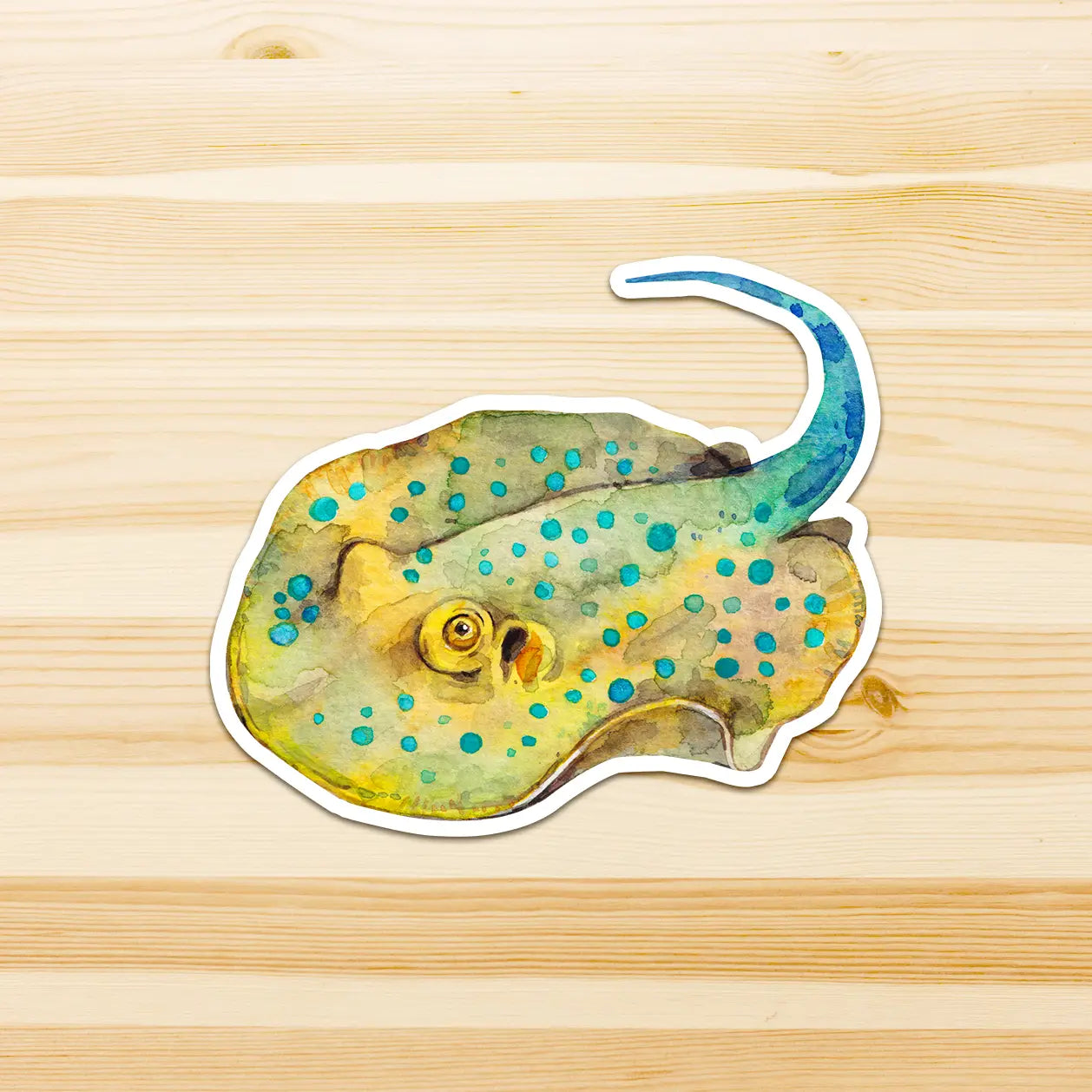 WATERCOLOURS BY CAT- Fantail Ray - Large Australian Marine Life Vinyl Stickers