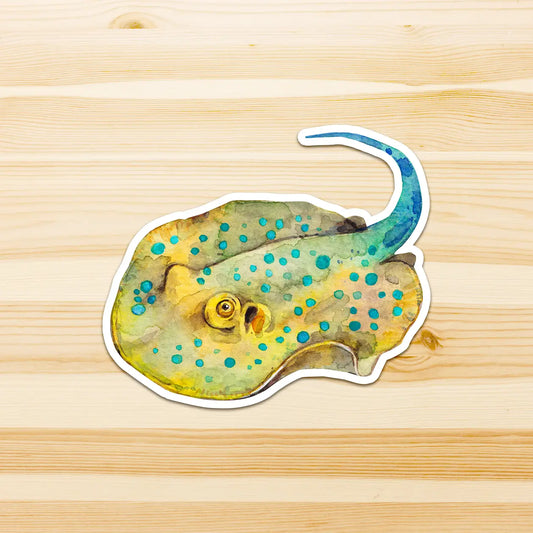 WATERCOLOURS BY CAT- Fantail Ray - Large Australian Marine Life Vinyl Stickers