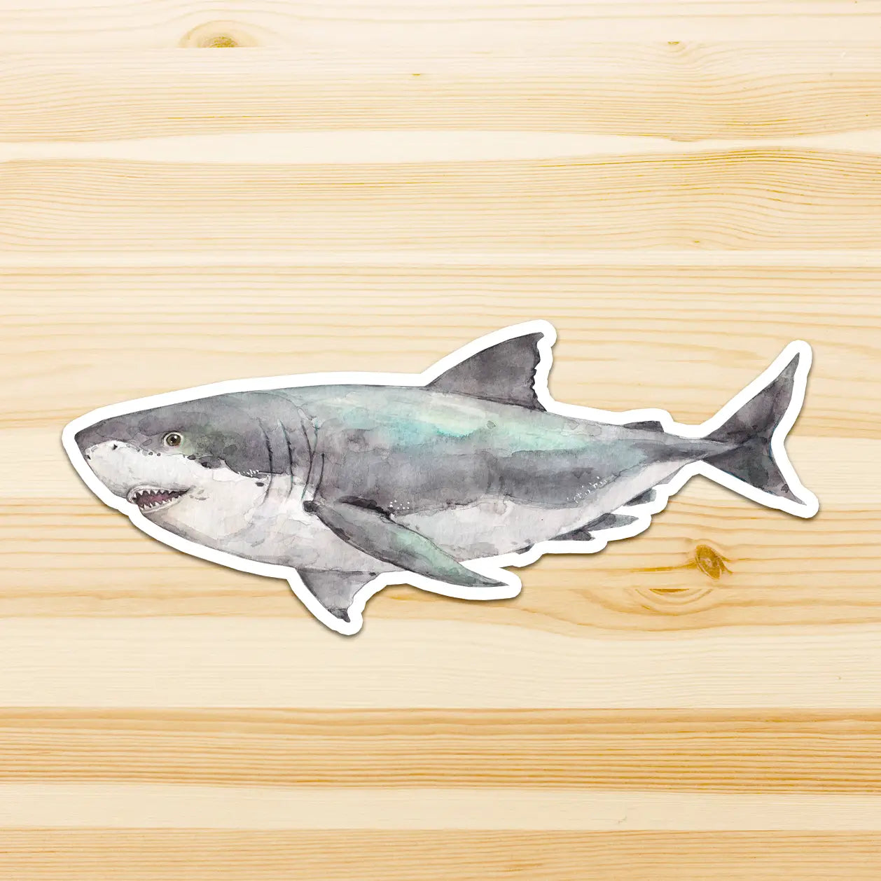 WATERCOLOURS BY CAT- Great White Shark - Large Australian Marine Life Vinyl Stickers