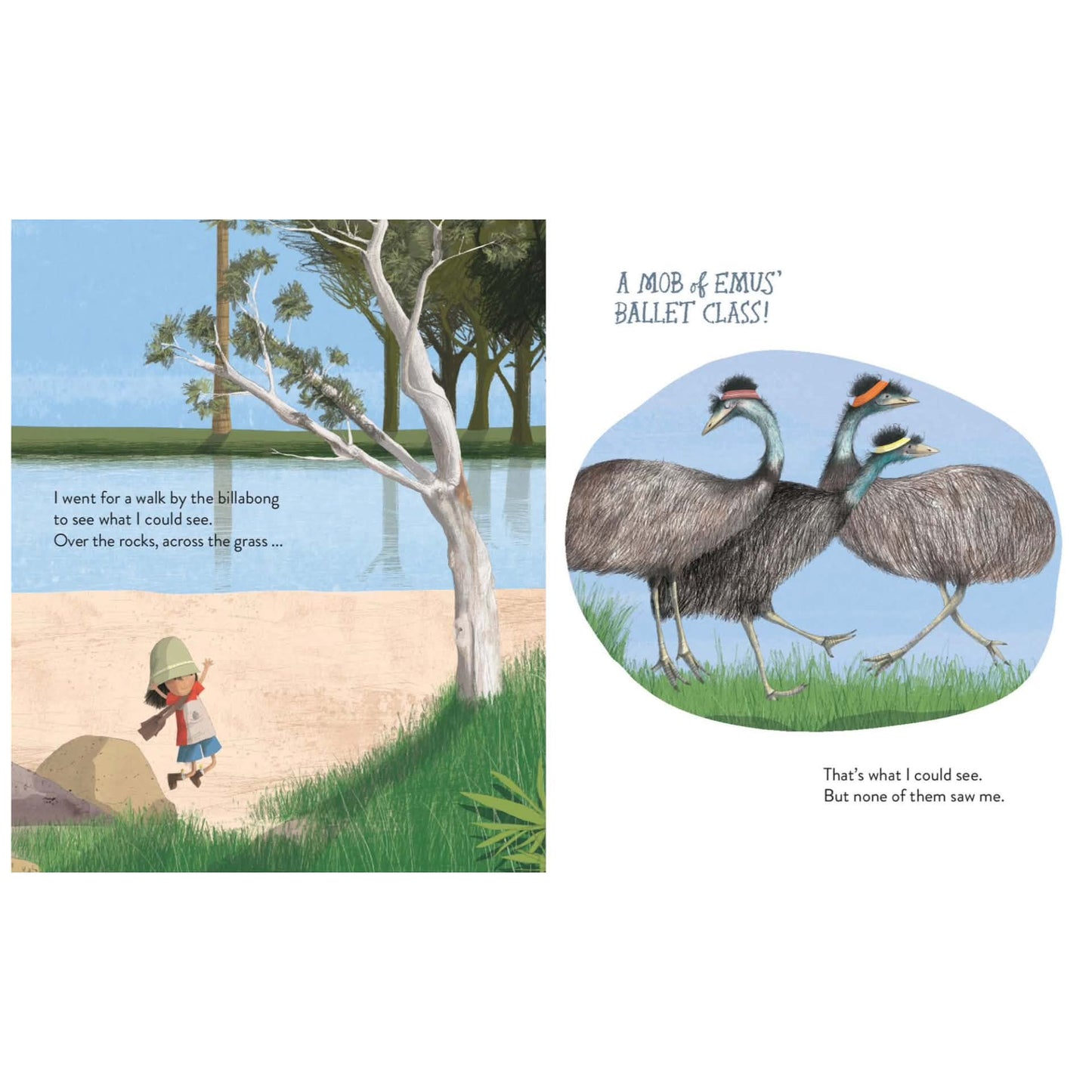 BOOKS & CO - BY THE BILLABONG By Maura Finn & Cate James - Board Book