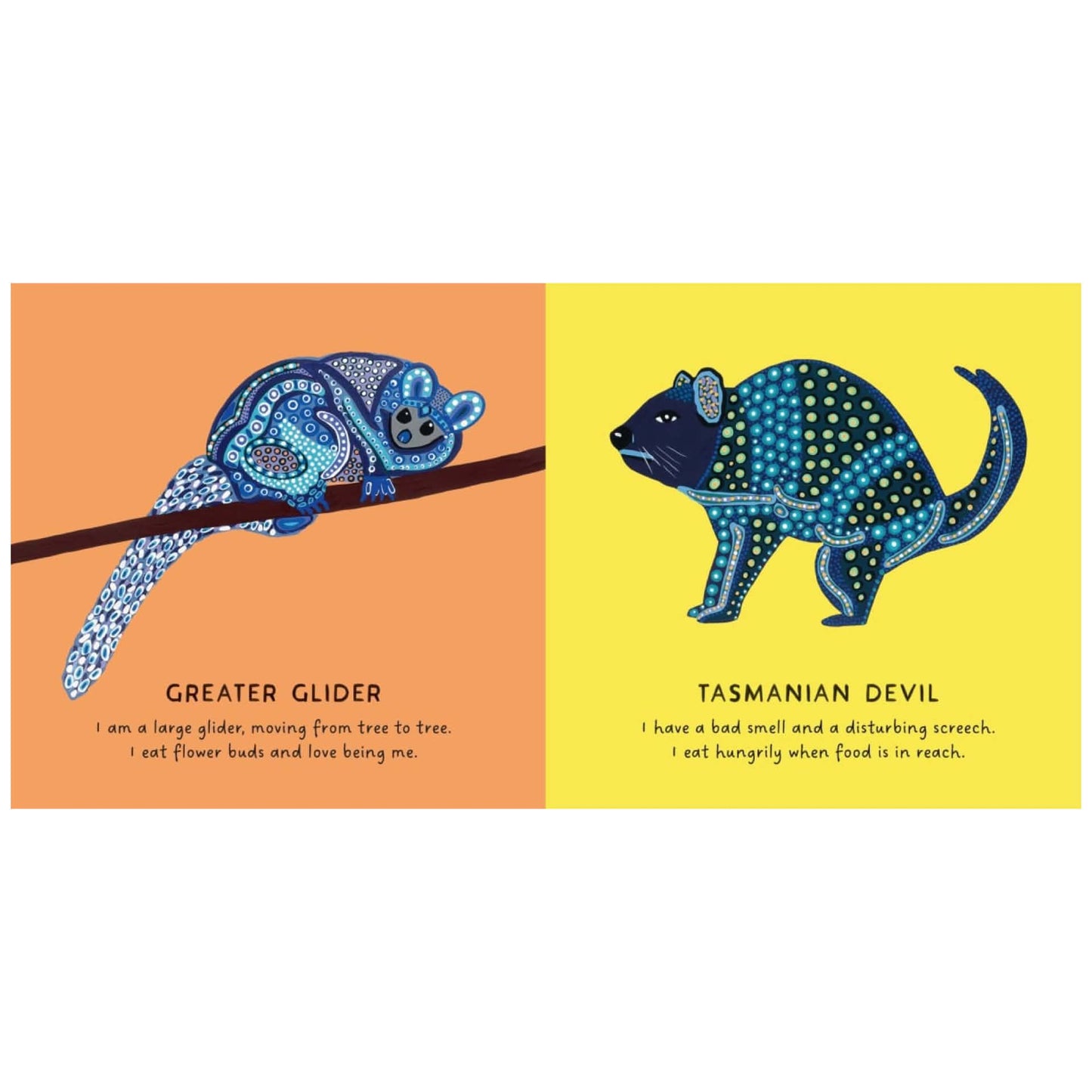 BOOKS & CO - OUR MARSUPIALS by Bronwyn Bancroft Board Book