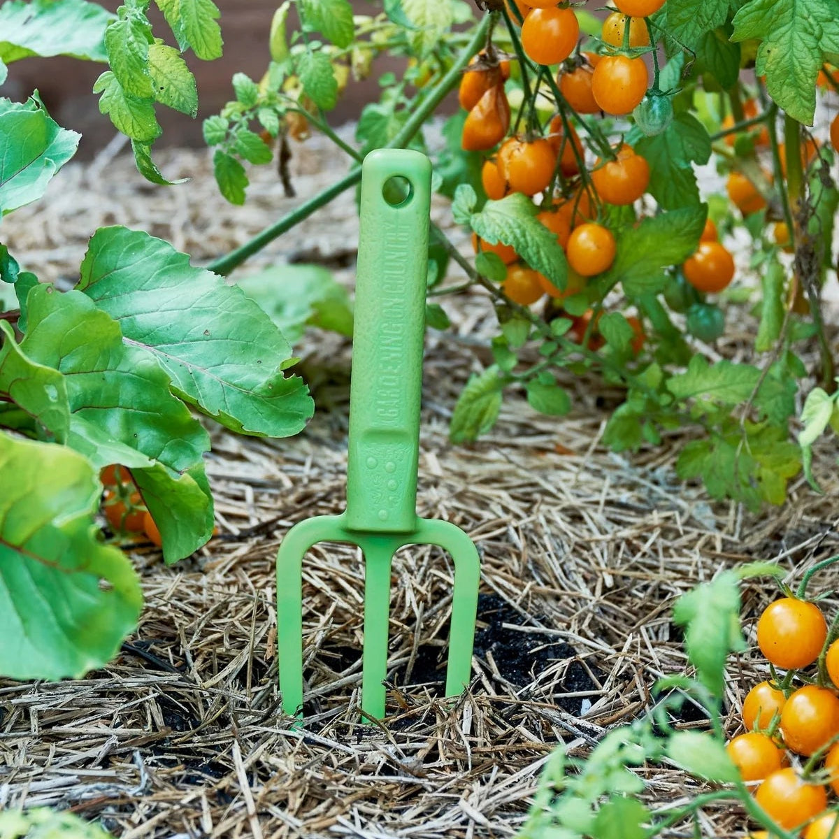 GARDENING ON COUNTRY - Casso Fork Bumbunga Pink — Recycled Plastic, Australian Made