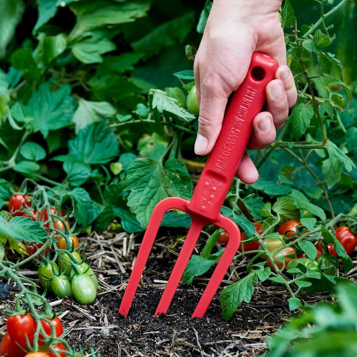 GARDENING ON COUNTRY - Casso Fork Bumbunga Pink — Recycled Plastic, Australian Made