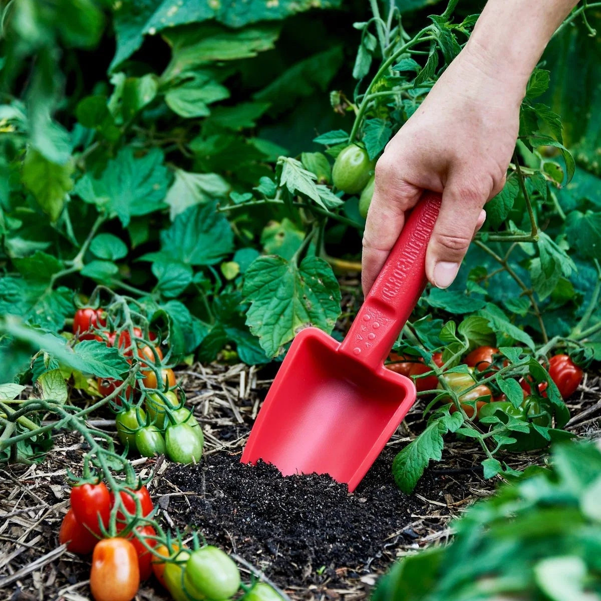 GARDENING ON COUNTRY - Womby Hand Trowel  Kakadu Green — Recycled Plastic, Australian Made