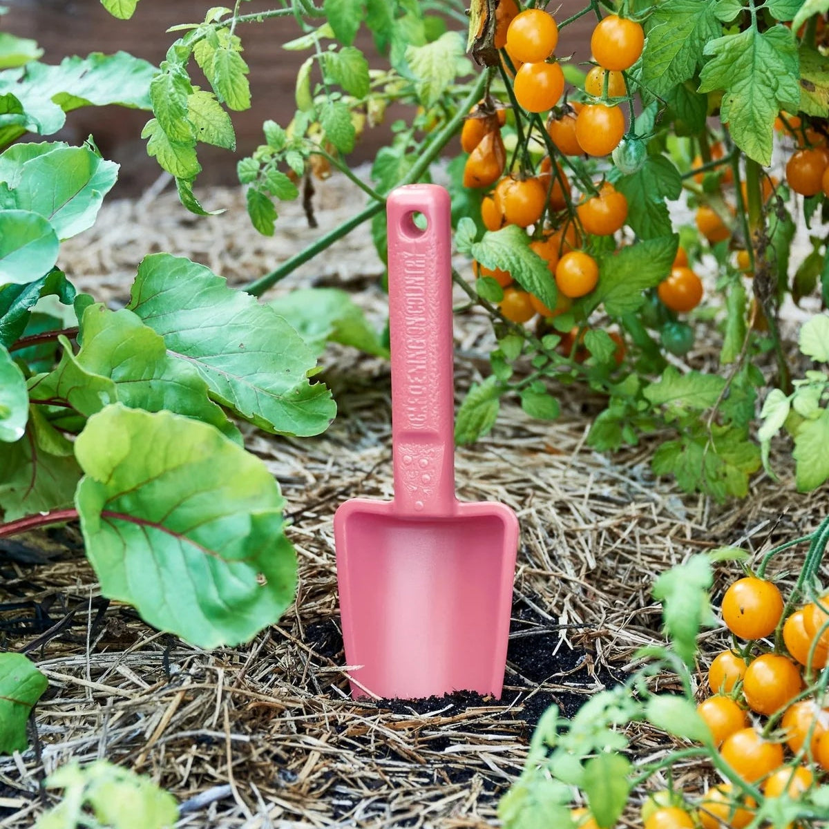 GARDENING ON COUNTRY - Womby Hand Trowel  Kakadu Green — Recycled Plastic, Australian Made
