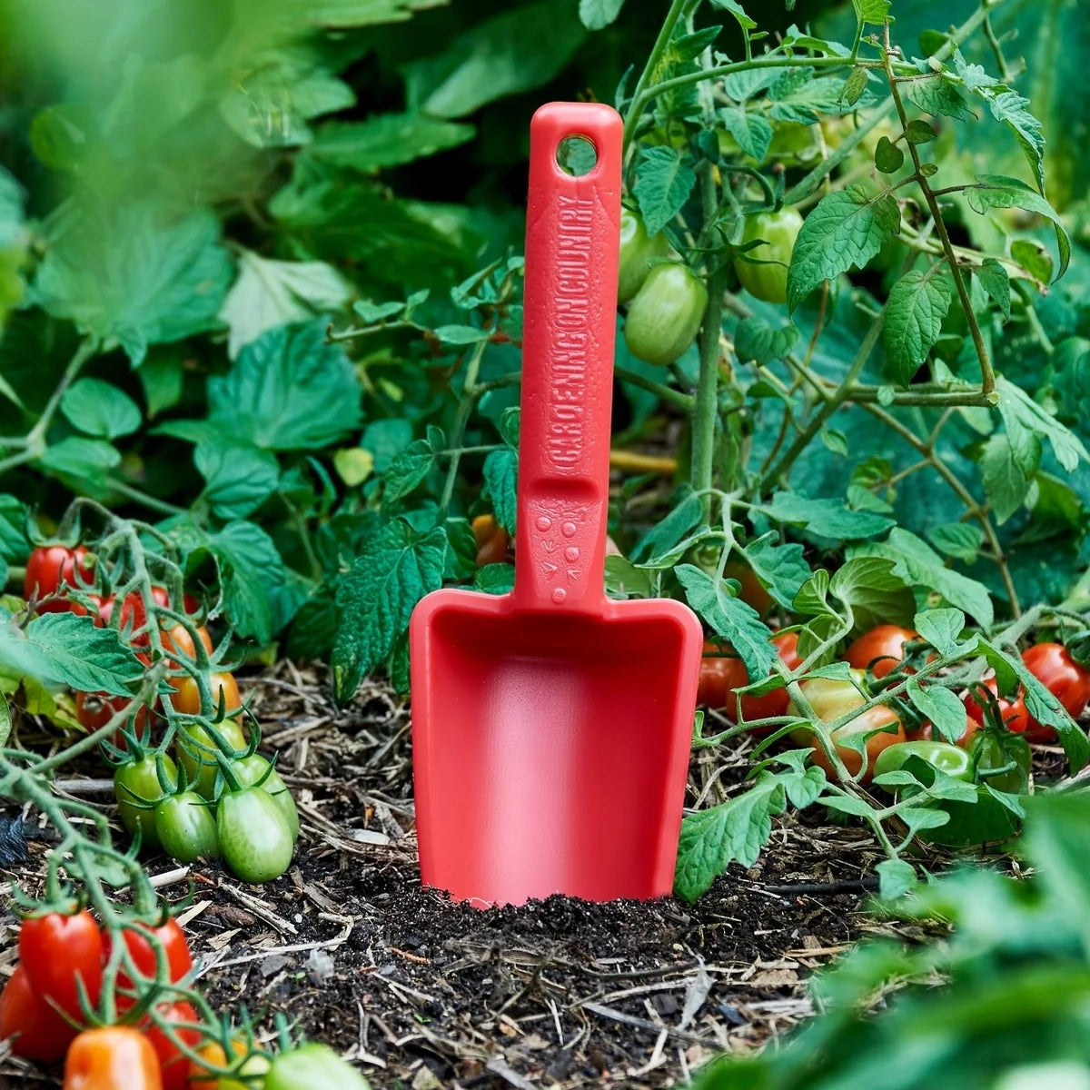 GARDENING ON COUNTRY - Womby Hand Trowel  Kakadu Green — Recycled Plastic, Australian Made