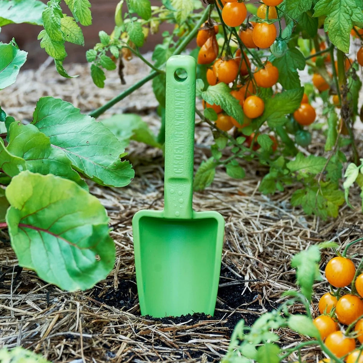 GARDENING ON COUNTRY - Womby Hand Trowel  Kakadu Green — Recycled Plastic, Australian Made