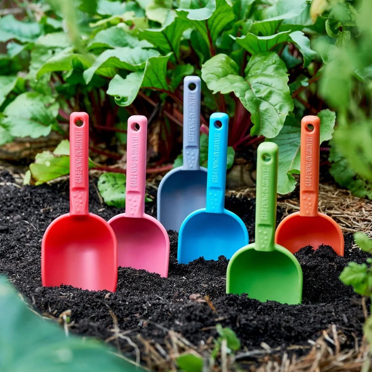 GARDENING ON COUNTRY - Nesti Kids Scoop Kakadu Green – Recycled Plastic Garden & Beach Scoop