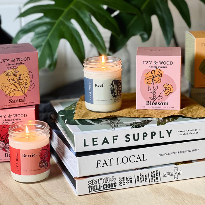 IVY & WOOD - Reef Scented Candle 'Homebody' Collection
