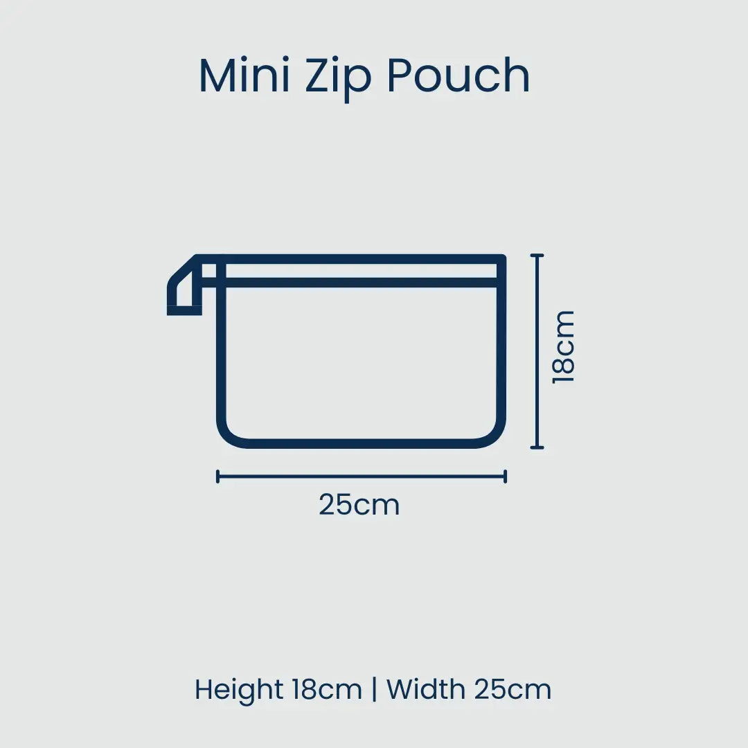 PROJECT TEN - "Multi Stripe" MINI Zip Pouch