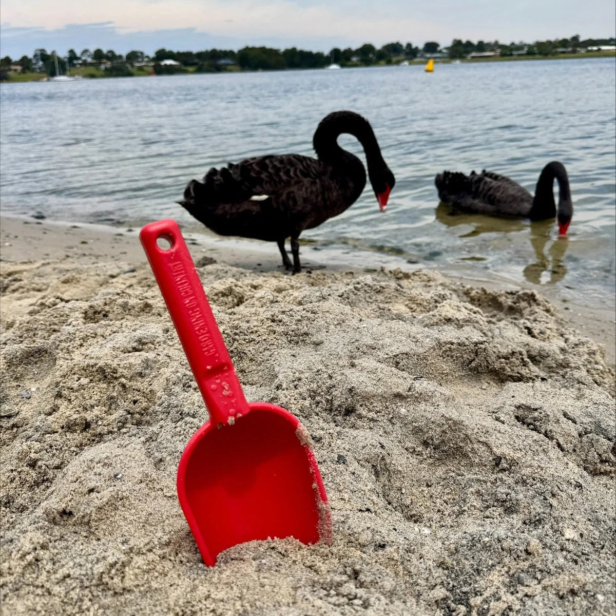 GARDENING ON COUNTRY - Peli Scoop BumBunga Pink — Recycled Plastic, Australian Made