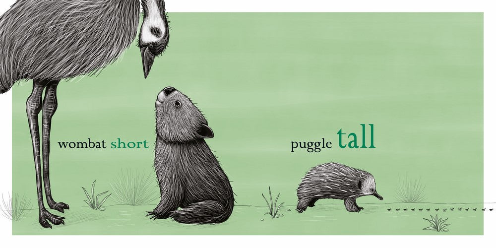 BOOKS & CO - RENEE TREML - WOMBAT BIG, PUGGLE SMALL CHILDREN BOOK