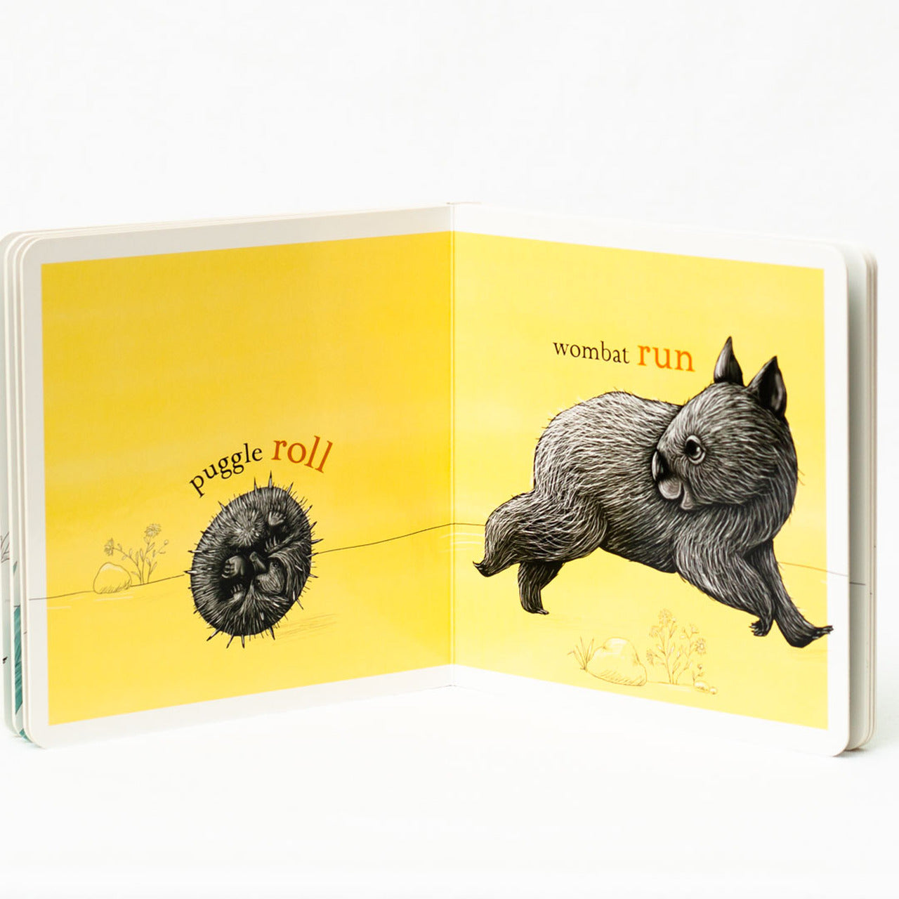 BOOKS & CO - RENEE TREML - WOMBAT BIG, PUGGLE SMALL CHILDREN BOOK